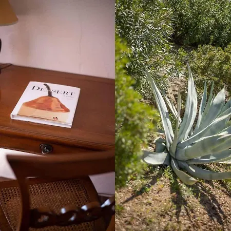 Villa Villaflair - Morcone With Private